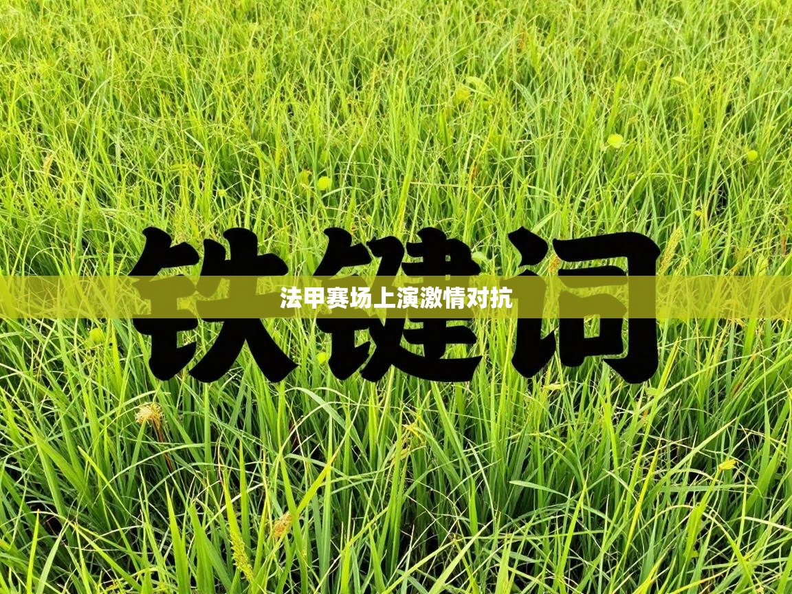 法甲赛场上演激情对抗  第2张