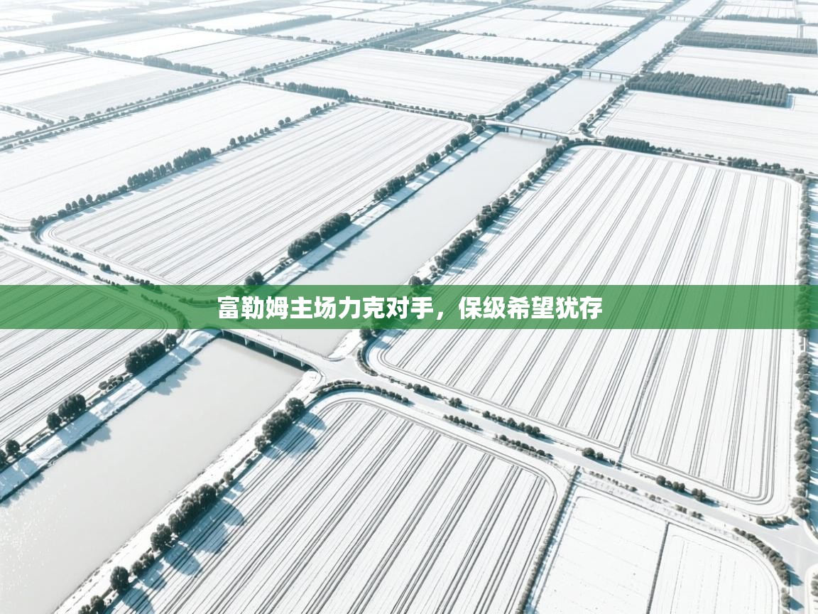 富勒姆主场力克对手，保级希望犹存  第2张