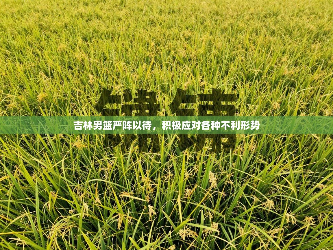 吉林男篮严阵以待,积极应对各种不利形势 第1张
