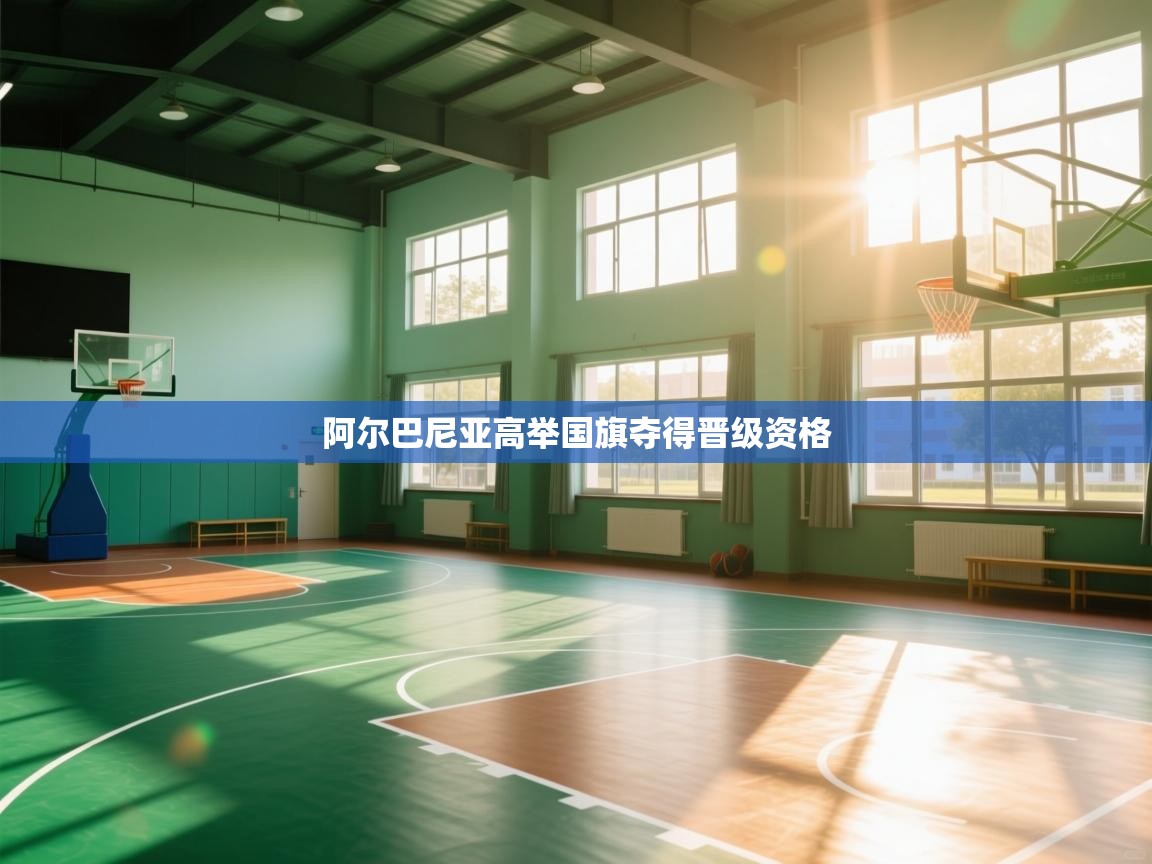 阿尔巴尼亚高举国旗夺得晋级资格  第1张