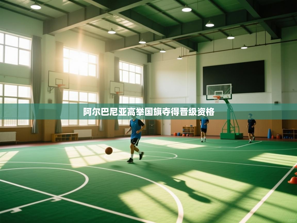 阿尔巴尼亚高举国旗夺得晋级资格  第2张