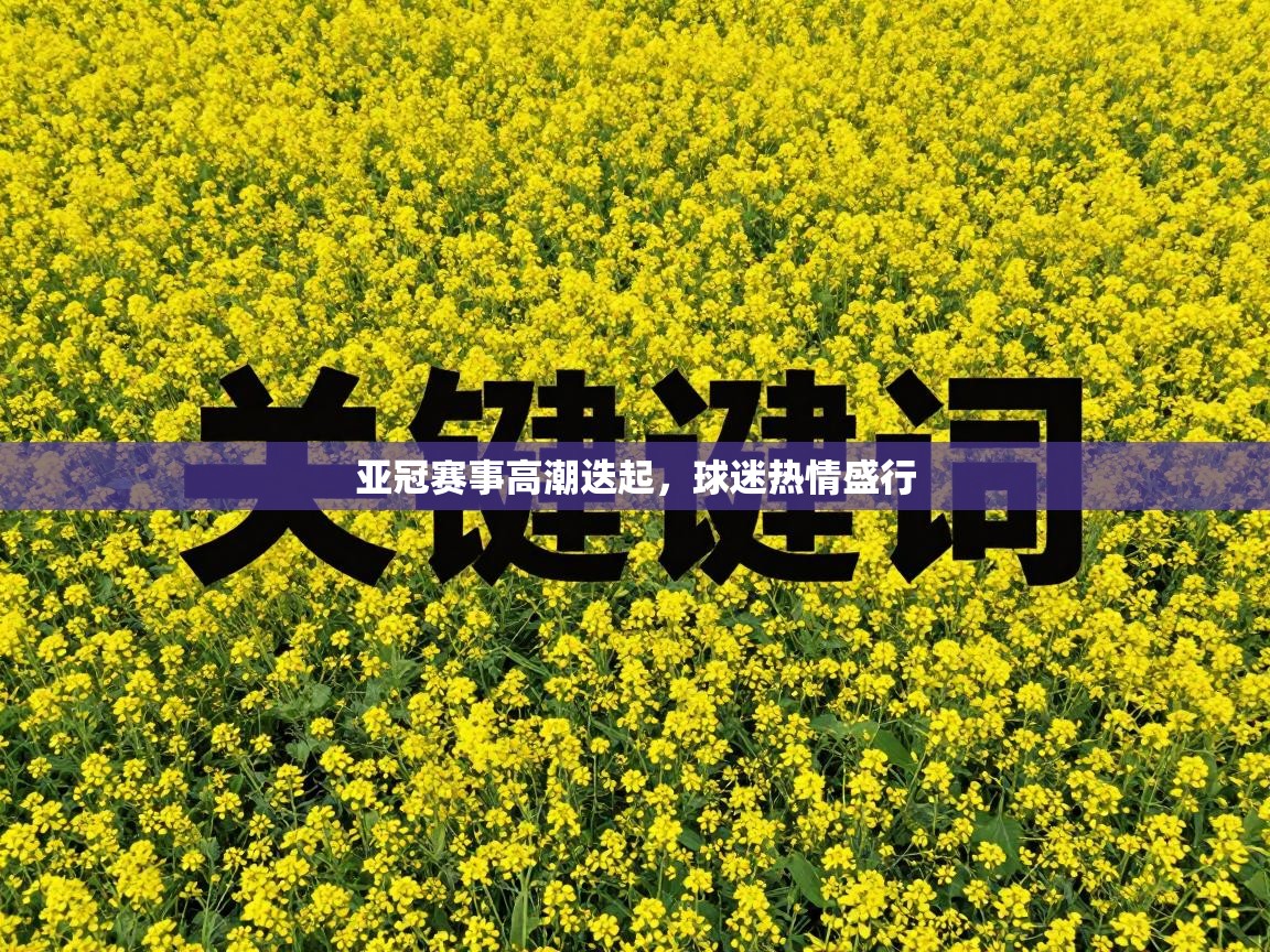 亚冠赛事高潮迭起,球迷热情盛行 第2张